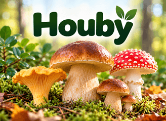 Houby